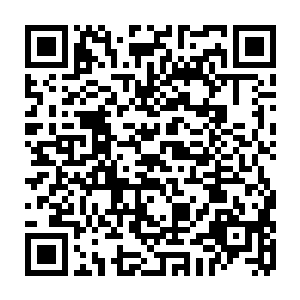 她还是跟着寻上门来的姜氏和陈氏一块去钟家三老爷夫妻院子门口瞧了一瞧二维码生成