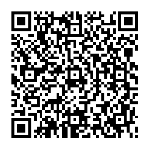 她这不算完美的表演依然是入围提名的候选人里最优秀的一个――托尼喜欢的是她在二维码生成