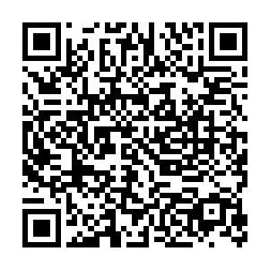 她都不记得上一次真正放松休假是什么时候――估计要追溯到穿越以前二维码生成