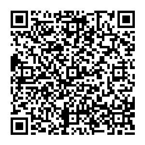 好了　清扬　圣皇子　你二人先去瀑布下承受冲击　将自身的杂质排除到极点　明日來用太一之水增强修为　二维码生成