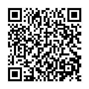 好像一直压抑着的紧张不安反而在确定了他们到来的时候消失了二维码生成