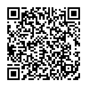 好像昨晚那一声声撞得连洞顶土都掉下来的撞击声是我们两人一鬼差的幻觉二维码生成