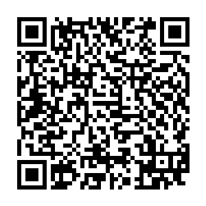 好像飞翼天狼族内因为你的独裁和残暴统治早已经有不少长老心生不满二维码生成