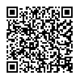 好几条机械流水线和亮晶晶不锈钢鼎锅排列的厂房设备就出现在摄像头前面二维码生成