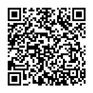好在他的脑海中有各种字典和政治书籍――他自己读书时看过的书二维码生成