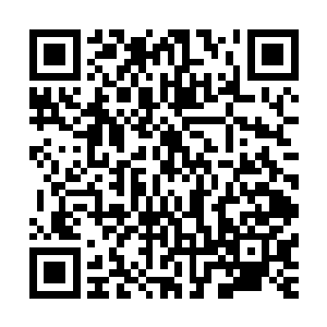 好在她提前用青藤那一缕极细的丝线将自己和巨型鹰雕捆绑着二维码生成