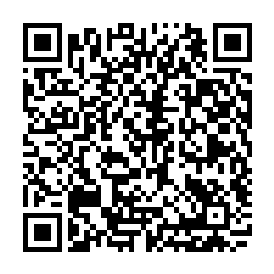 好在这个时候小猴子完全能够把握自己下手的力量所以并没有引起什么轰动二维码生成