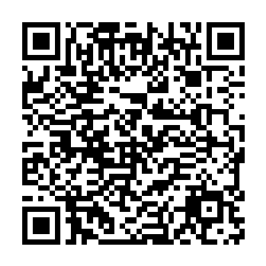 好在这个时候水娥又对冻住了神使的尸体额外加持了一记寒冰符箓上去二维码生成