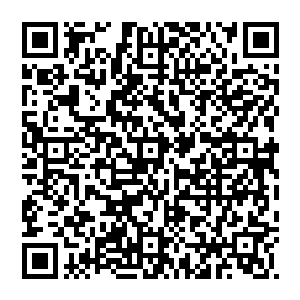 好强　肉身力量完爆我几条街　不仅如此　他身上的气息　居然与我的如此相似　而且领悟程度更是远超我许多　二维码生成