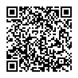 好整以暇的望着山下四周正在忙碌不停的采摘着仙草仙果的冰神殿众修士二维码生成