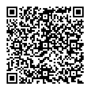 好莱坞有一条关于导演的名言――永远不要拿自己的钱去拍摄执导的电影――虽然并不适用杜克这种经历奇特的人二维码生成