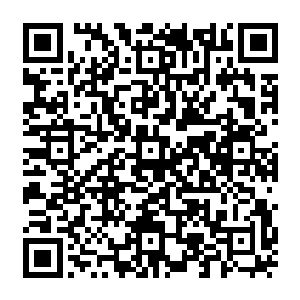 好莱坞那边跟来的狗仔很快也确认了这么一点――珍妮弗在新西兰还是不会去酒吧玩二维码生成