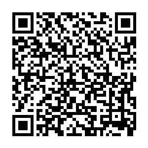 如一只母狗一般跪爬在大床上的银丝一把抓过旁边一个男性魔族挡在了身形二维码生成