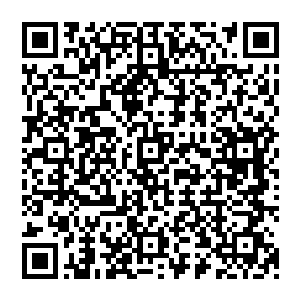 如今……让他自己成长吧……凤凰血脉只不过让他起点高了一些罢了……一切都用实力说话……二维码生成