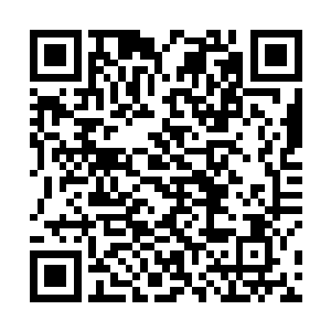 如今也只有华阳宗的弟子和中型宗门的弟子没有前去了二维码生成