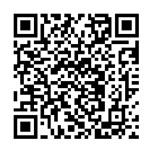 如今以侯爵级的实力就已经成为血族议会的高级议员了二维码生成