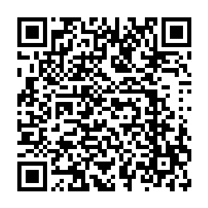 如今又有先帝的老臣跪在宫门外……这一件件的事让我也没了主意二维码生成