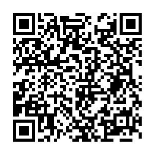 如今又给她老人家弄了四条连你爹娘都不怎么对付得了的海蛇堵路二维码生成