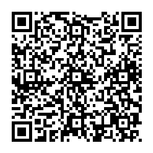 如今哪怕是我们圣弃界剩下的所有源境界护法长老和你们这一界的人联手施展斩神阵二维码生成