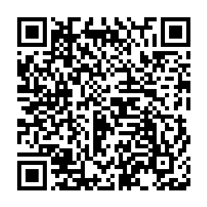 如今在墨即离的储物戒指中就有着一些炼制七品丹药化神丹的草药二维码生成