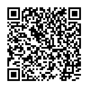 如今好不容易在人生地不熟的地方重逢了一位曾经有过一面之缘的中国人二维码生成