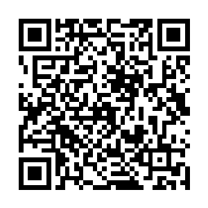 如今小尘和圆圆的实力也已经稳稳妥妥的晋升到了仙级二维码生成