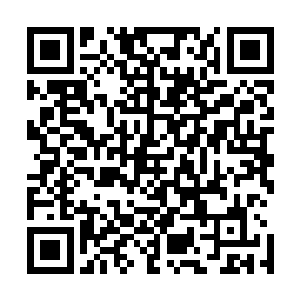 如今开战 只会死伤更多的人 也许会直到一方完全毁灭 二维码生成