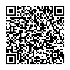 如今想到蓝实这笑呵呵的模样后面藏的是恨不得白蔹立刻死在他妹妹坟头前的心二维码生成