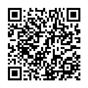 如今我大宋的军队全部握在皇上和枢密使的手中二维码生成