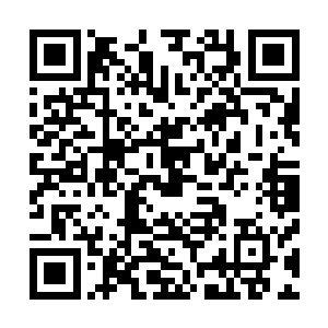 如今整个樊城上下都传遍了你将替代主公成为荆州牧的消息二维码生成