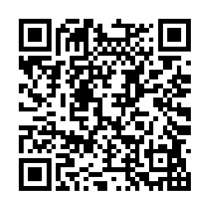 如今有一笔巨款可以把堆积在江南粮仓的粮食盘活二维码生成