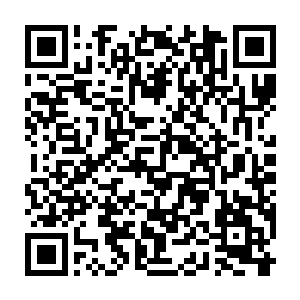 如今林铭的最强攻击力已经可以一拳在铁木上留下一个半尺深的拳印二维码生成