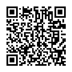 如今的n796号航班已经完全不是由飞机自有的动力系统控制的了二维码生成