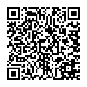 如今直面他短短时间能让对他戒备满满的咕仔亲昵称呼他为璃哥哥二维码生成