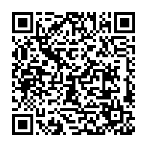 如今精灵宝钻的灵气吸收速度也在天地灵气的帮助下得到了质的飞跃二维码生成