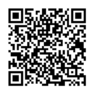 如今老太公便从苏伯庸管理的产业中划了一些给她正式管理二维码生成