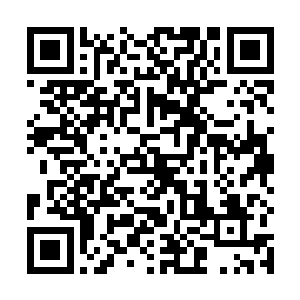 如今虽然脱去了在皇宫中那件仍是极为扎眼的大红蟒袍二维码生成