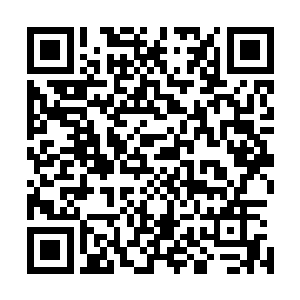 如今要求准备酒菜送到北北的屋子……白硫亦和北北在一起二维码生成