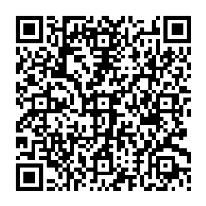 如今见到这份订单的主人居然还妄图使用如此珍贵的材料去制作一定会失败的零件二维码生成