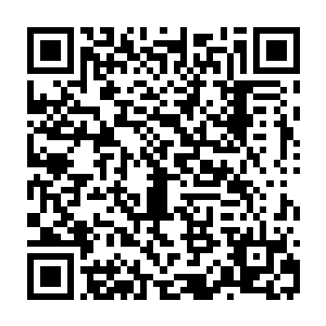 如今见霍君白居然持着一根一碰就断的细树枝试图来挡自己手中的玄武钢刀二维码生成