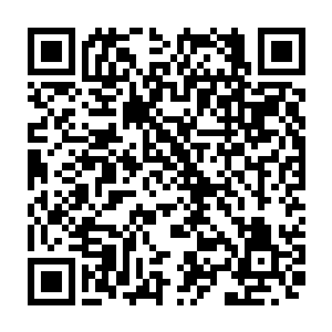 如今许紫烟才找到百族时代的修士为什么会对于天道运用有着如此境界的原因二维码生成