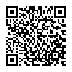 如今距离杨木森和青炎到达太玄宗的时间大约也就是八天的时间二维码生成