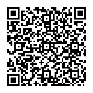 如同一支训练有素的军队一般妖兽异形们也忽然齐齐发出了一阵阵剧烈而嗜血的咆哮声二维码生成