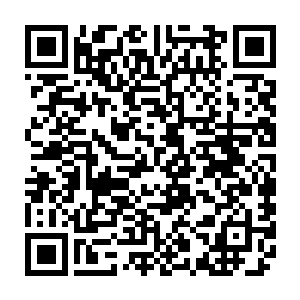 如同一辆重型摩托车一般的巨大龙虾正在挥舞着他们那如同钢钳一般的钳子二维码生成