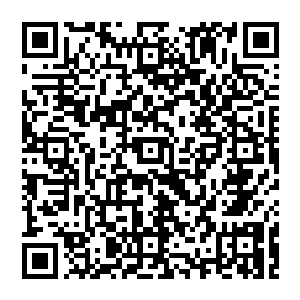 如同大山压顶而來风清扬的法力神通或许现在不怎么样但他的肉身以力量以及气势那几乎是凶横到了极点二维码生成