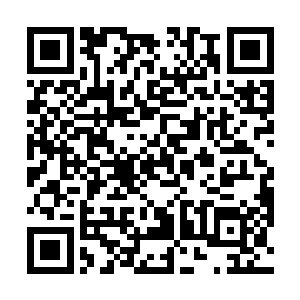 如同巨山一般的鱼尾泛着冷冷的光芒狠狠的砸在结界上二维码生成