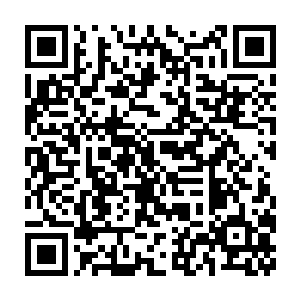如同数十条巨大的鞭子一般狠狠的抽击在了那些战斗机器人的身上二维码生成