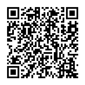 如同焦灼到皮肉的轻响和瞬间从白皙小手下蔓延出来一小圈的血色二维码生成