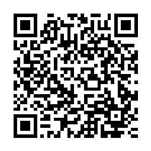 如同蚂蚁一般抗运巨石的队伍从早到晚不分日夜似乎永无停歇二维码生成