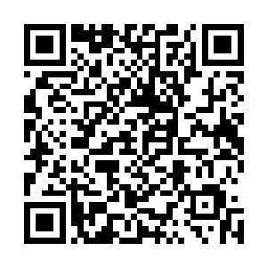 如果不是他们在第九方和第十方养了大批的仙兽和仙妖的话二维码生成